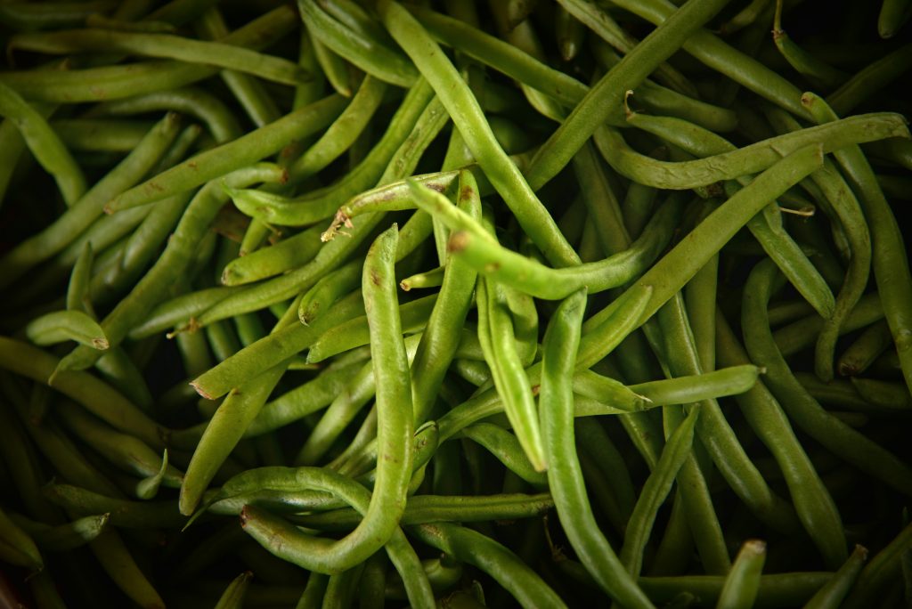 Fresh green beans for sale at the North Carolina State Farmer's Market in the Fall.