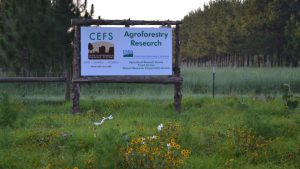CEFS Agroforestry Research sign