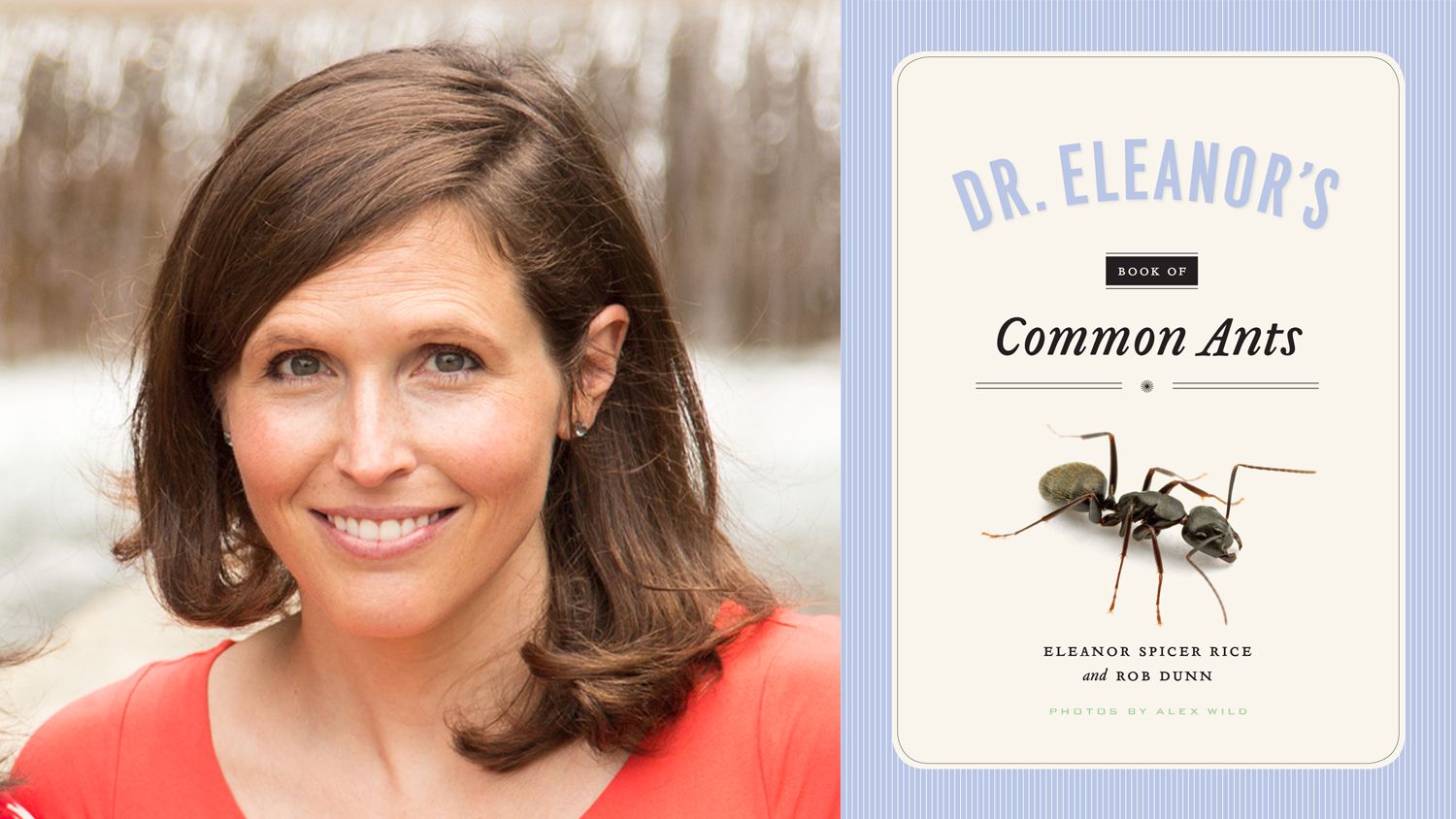 Eleanor Spicer Rice, CALS alum, author and ant expert