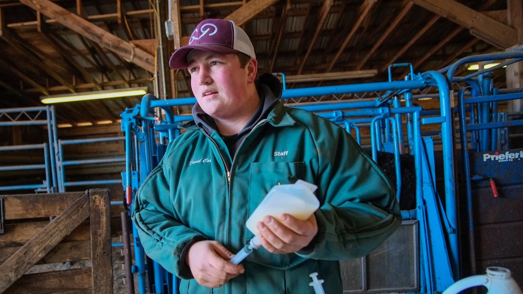 NCSU CALS Animal Science major David Cox