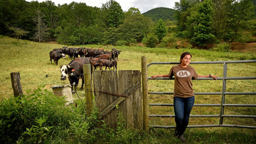 CALS student Selena Ibarra at Hickory Nut Farm in Buncombe County.