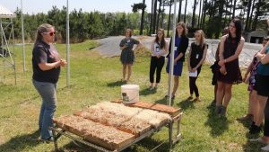 Scientist discusses erosion control outside with Youth Institute participants