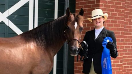 4-H Equine Championships