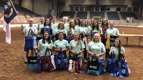 4-H Equine Championships