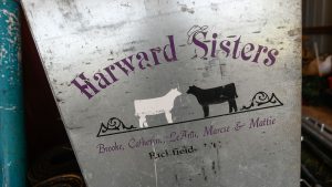 The Harward Sisters, business owners and two CALS grads