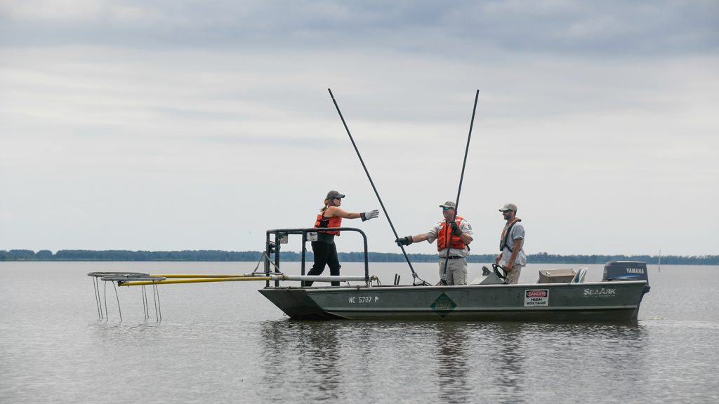 CALS Applied Ecology April Lamb Lake Mattamuskeet