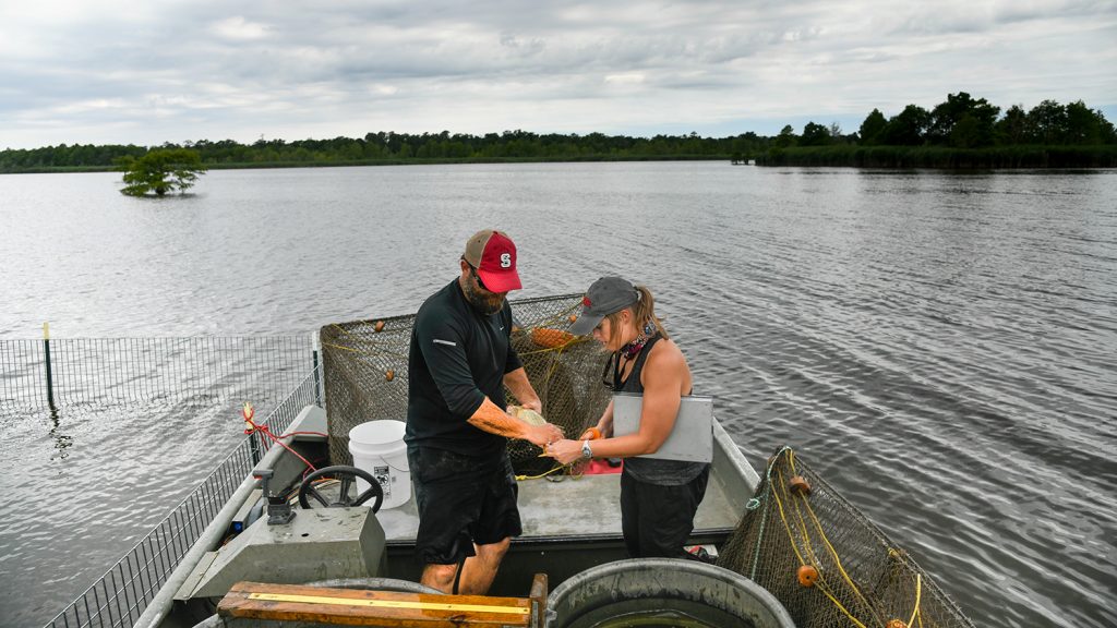 CALS Applied Ecology April Lamb Lake Mattamuskeet