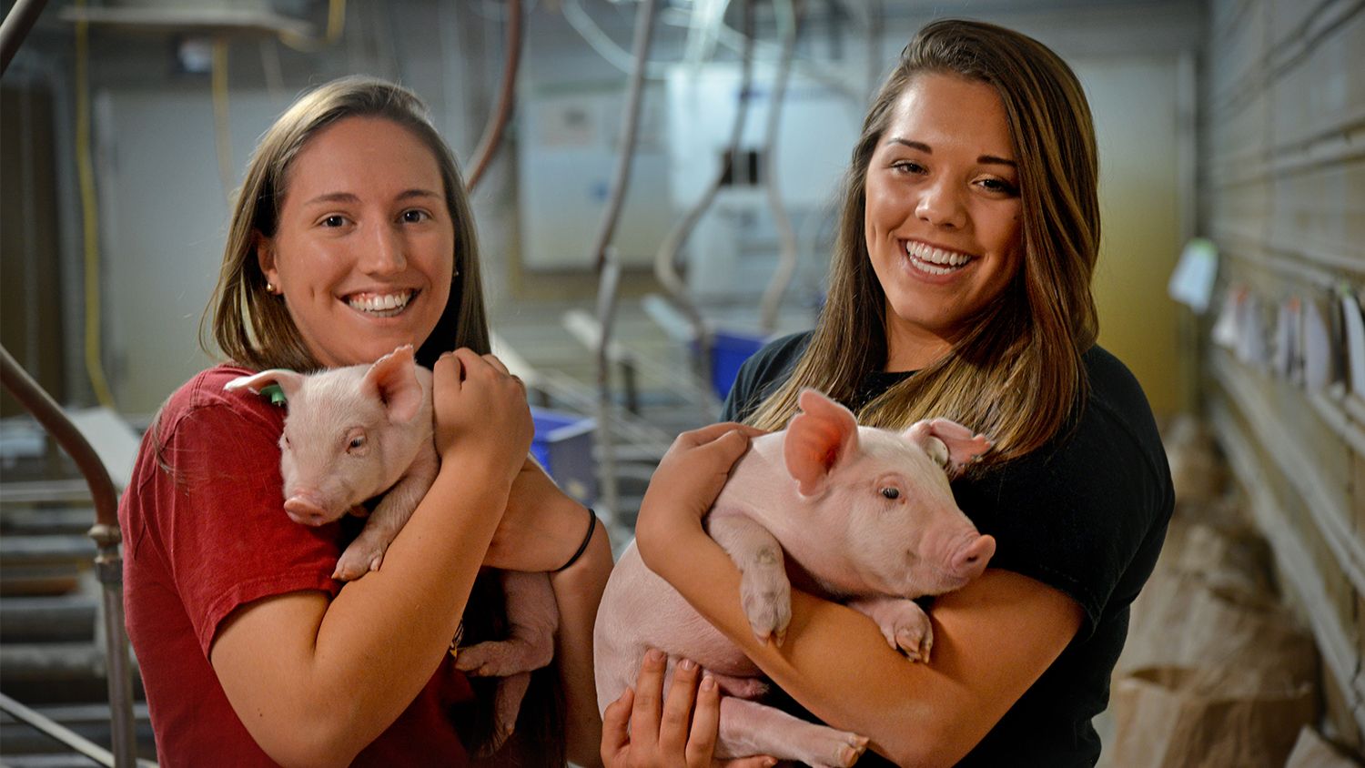 Two young females holding piglets