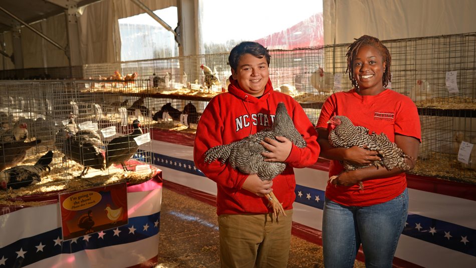 4-H'er and Poultry Science student holding chickens