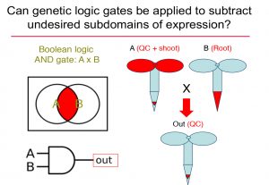 Graphical image of the Boolean logic AND gate
