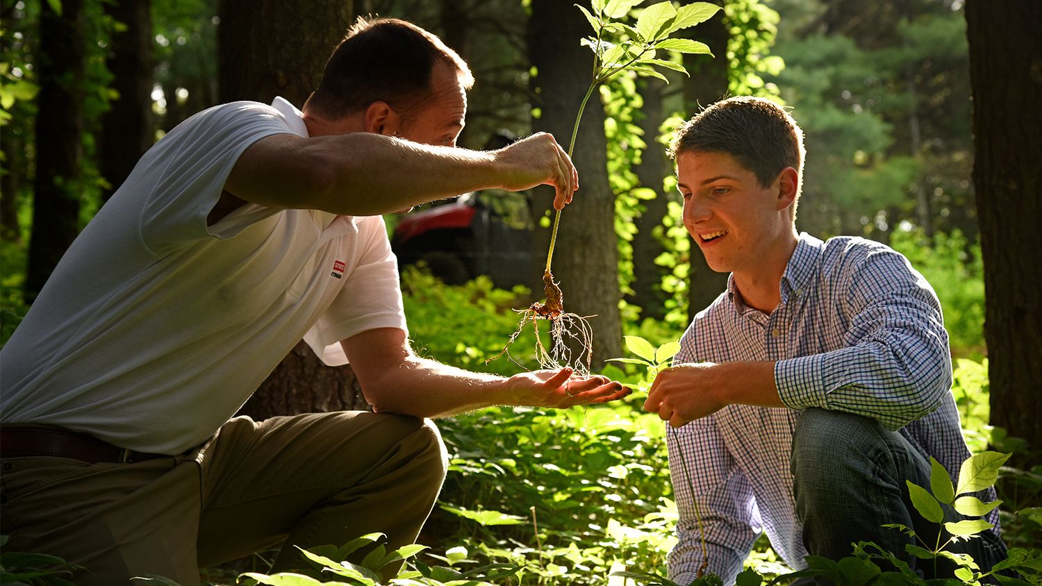 Older man showing a male student roots on a plant