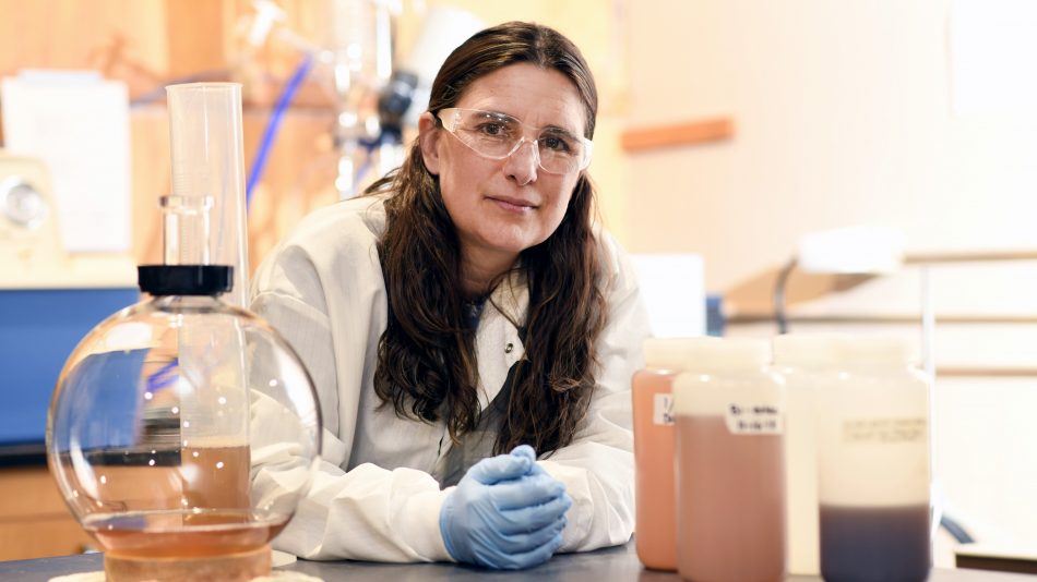 CALS BAE nontraditional student Alison Deviney leans on the counter in her lab, wearing a white lab coat, blue gloves and safety goggles.