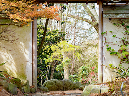 garden entrance