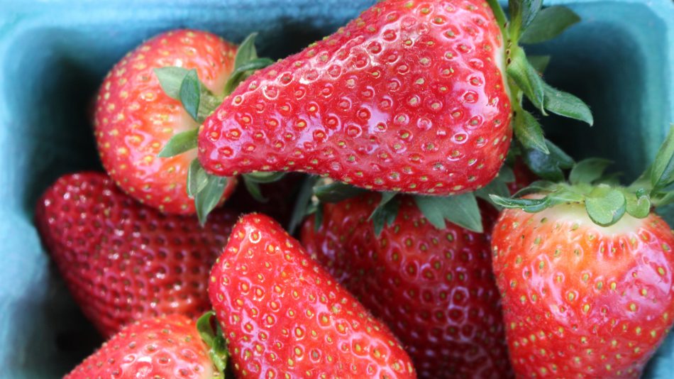 Fresh strawberries in a container