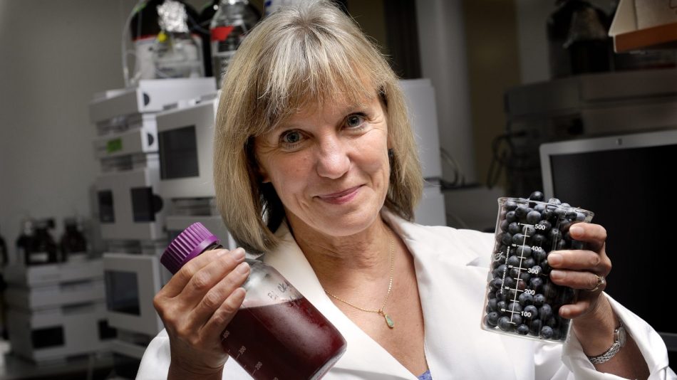 Professor in lab holding up a beaker of blueberries and bottle of juice.