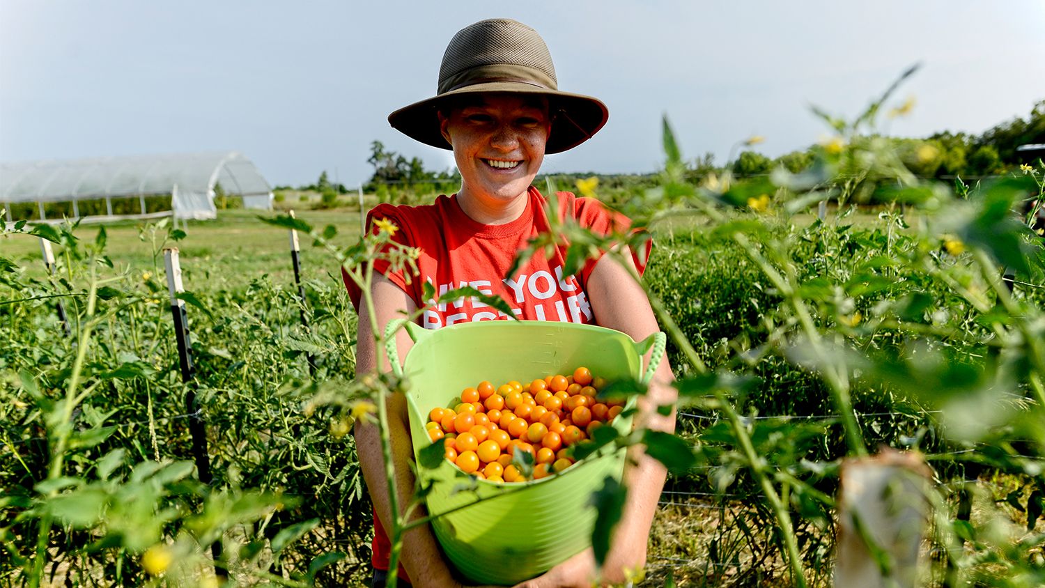 Woman holding basket of tomatoes in a field.