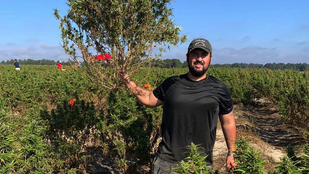 Man in cap holds up a North Carolina hemp plant.