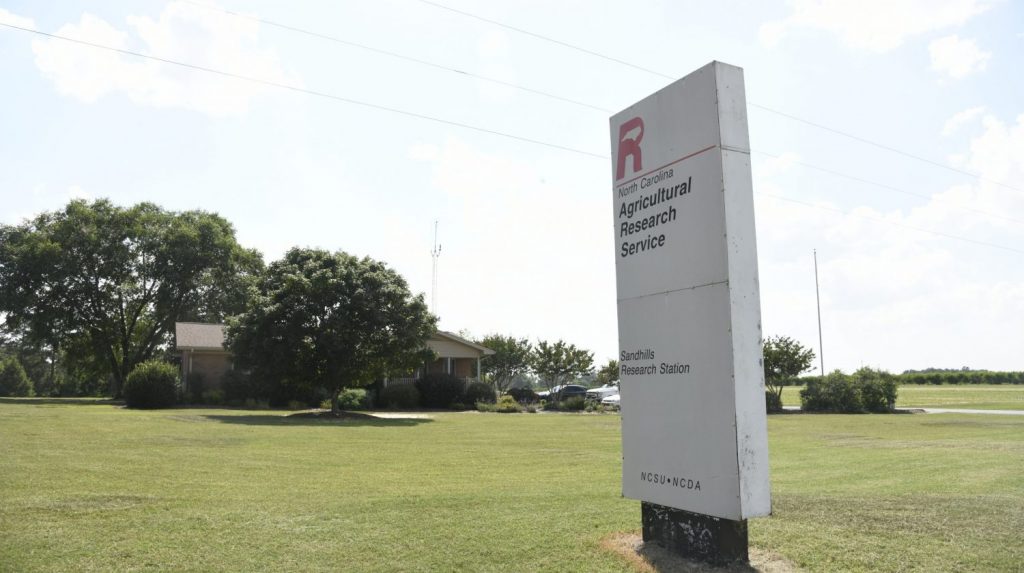A large white sign in front of a lone building reads: North Carolina Agricultural Research Service, Sandhills Research Station.