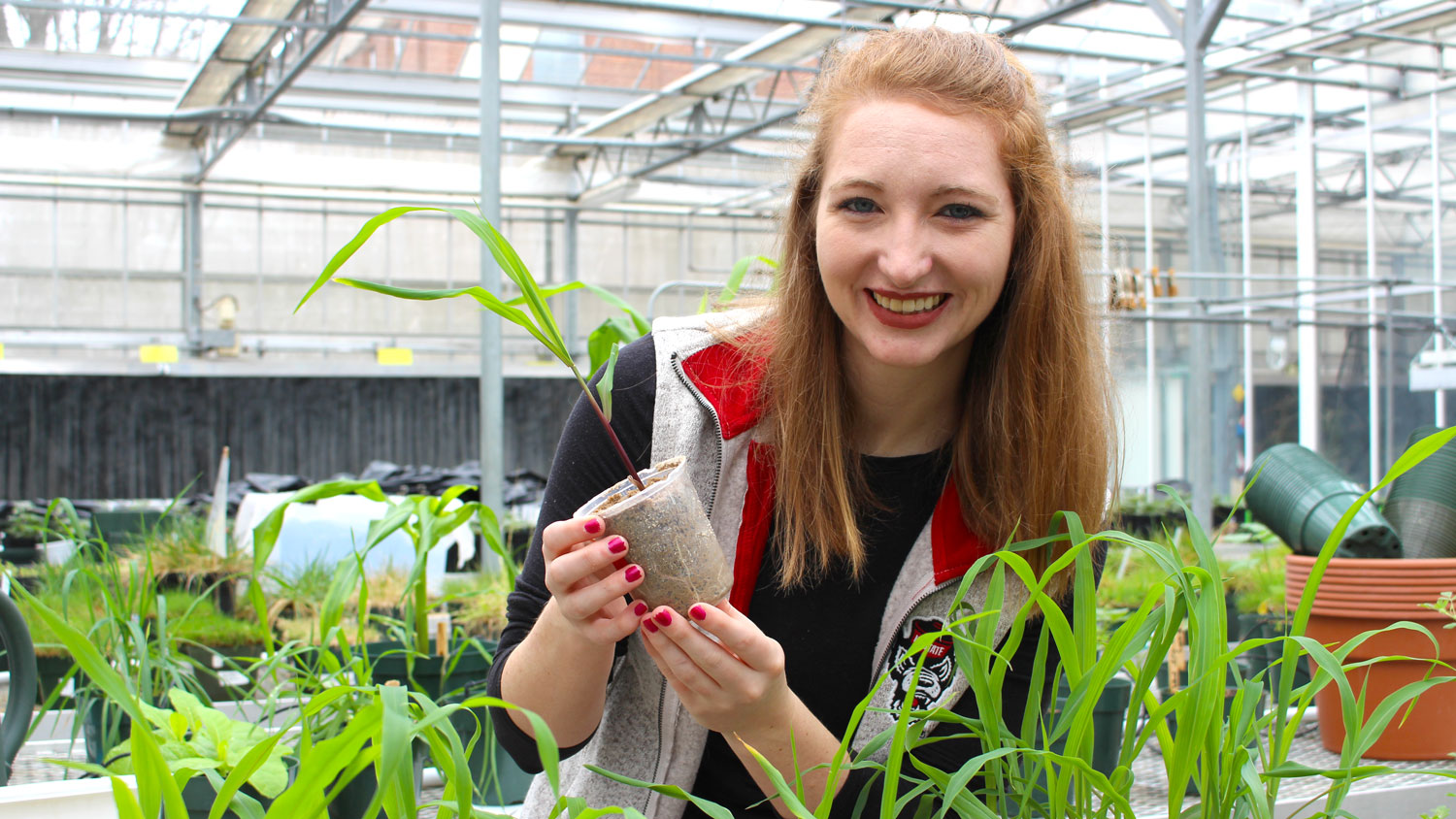 Young woman in a green house holding a plant