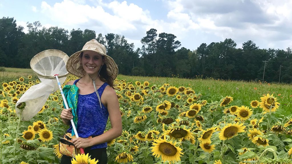 Hannah Levenson, a graduate student, in a field of sunflowers, while conducting a survey of native bees throughout North Carolina.