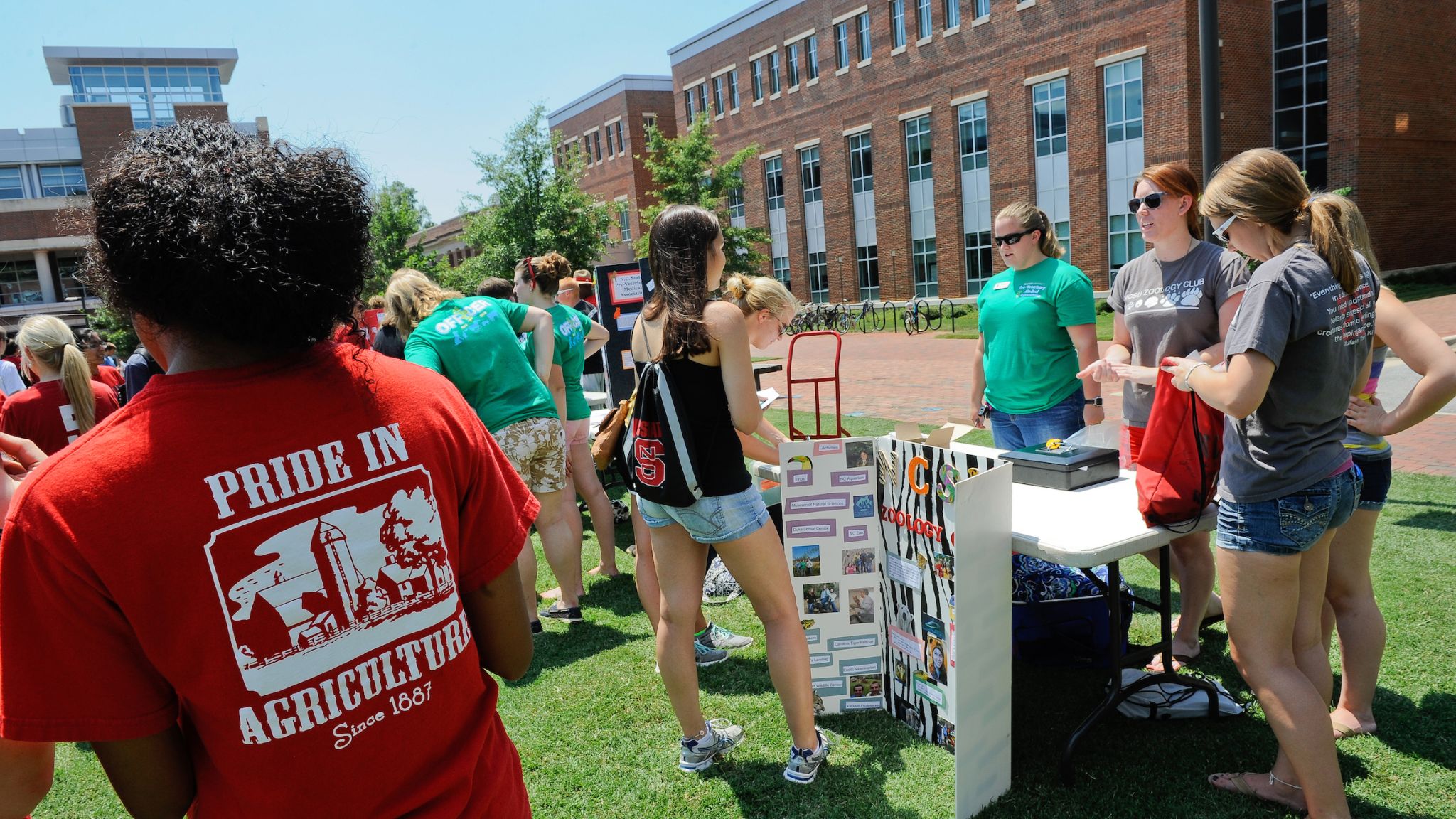 Students check out poster board displays at large gathering on campus green.