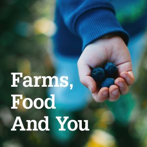 Farms, Food and You text on photo of child's hand holding three large blueberries