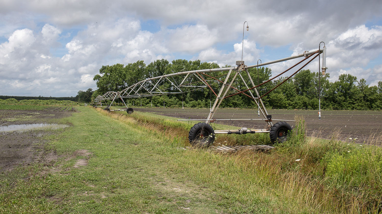 The Tidewater Research Station.