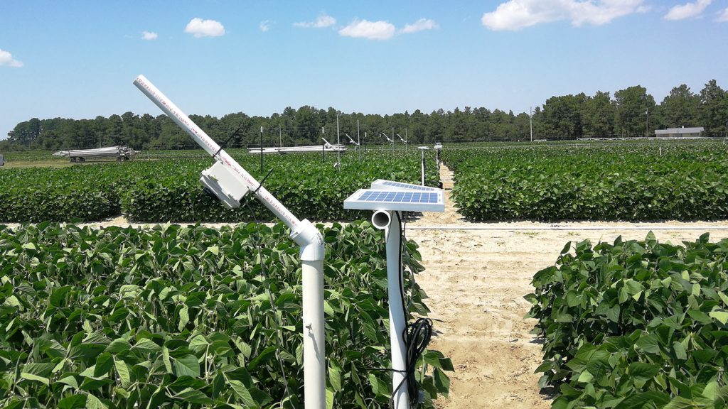 A small white box on PVC pipe poles over plots of soybeans in sandy soil.
