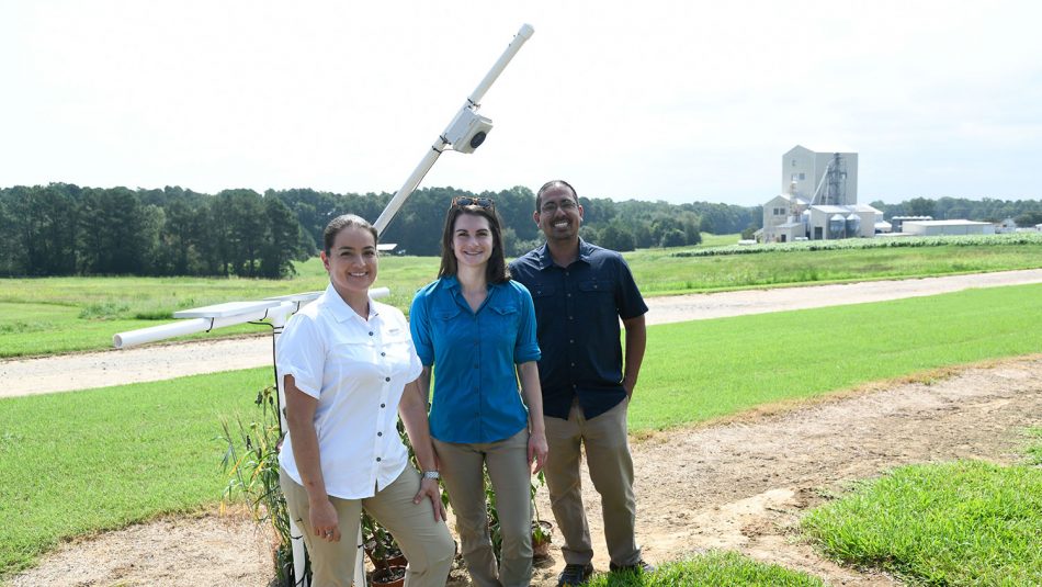 Three researchers in front of a white box on a pole mounted at the Lake Wheeler University Field Lab.