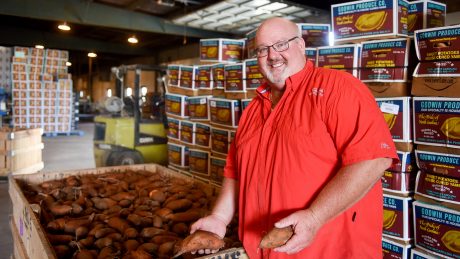 David Godwin with a bin of sweetpotatoes in a packing house