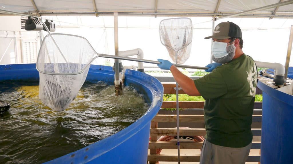 A man holding a fishing net of a large barrel of water.